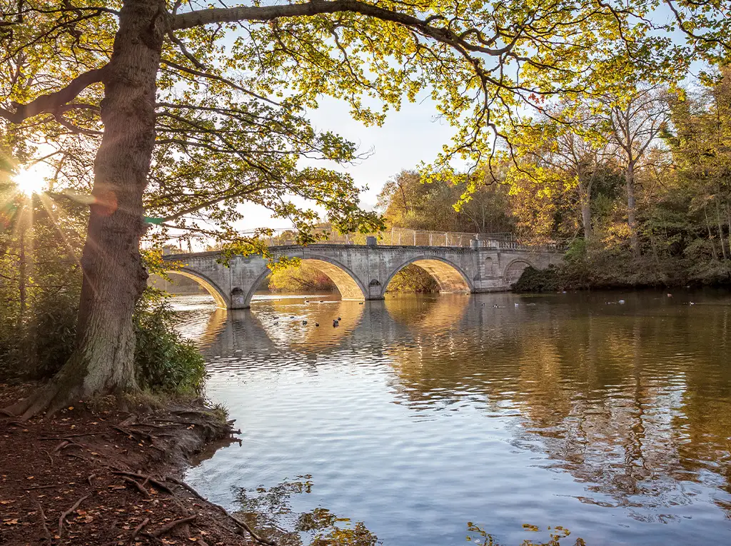 Clumber Park & Sherwood Forest